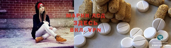 гидра Михайловск