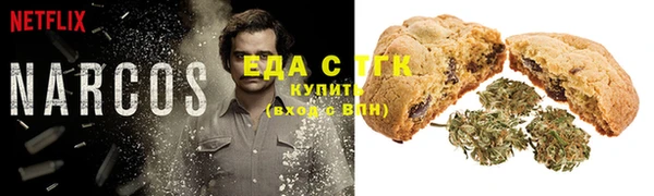 гидра Михайловск