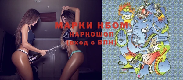 гидра Михайловск