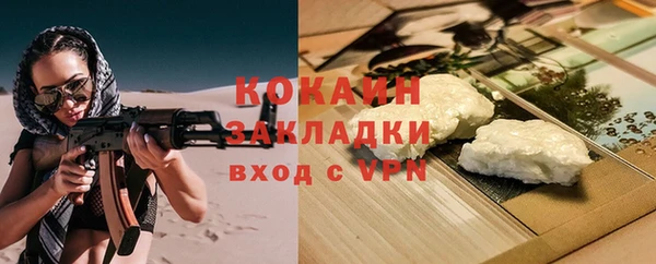 гидра Михайловск