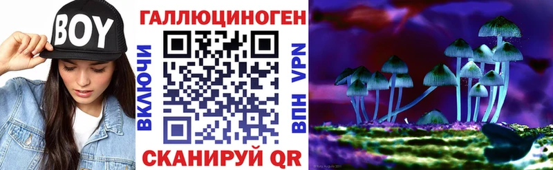 Купить закладки  Алексеевка  Псилоцибиновые грибы мицелий 